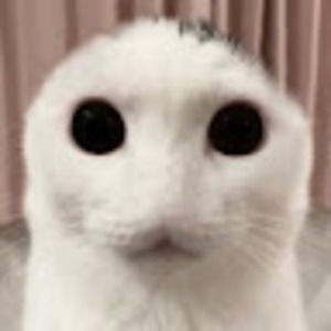 Meet your Posher, Rowan